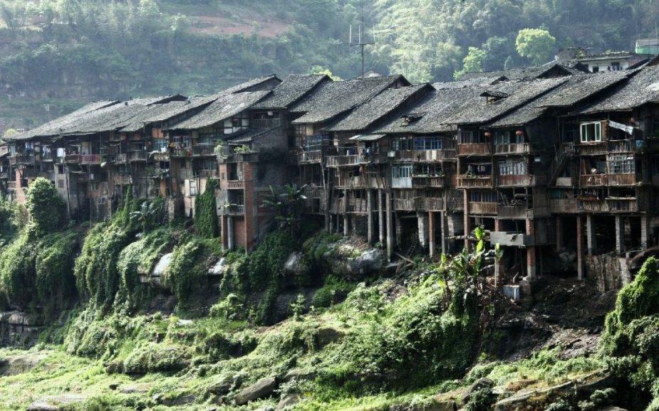 黄焖鸡怎么做更可口？游戏画面