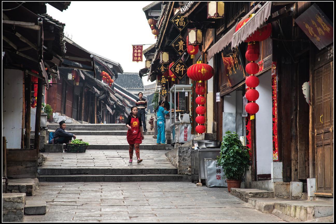 换帅？杨鸣随队出任球队副总裁，战山东乌戈若再失手，杨鸣出山？