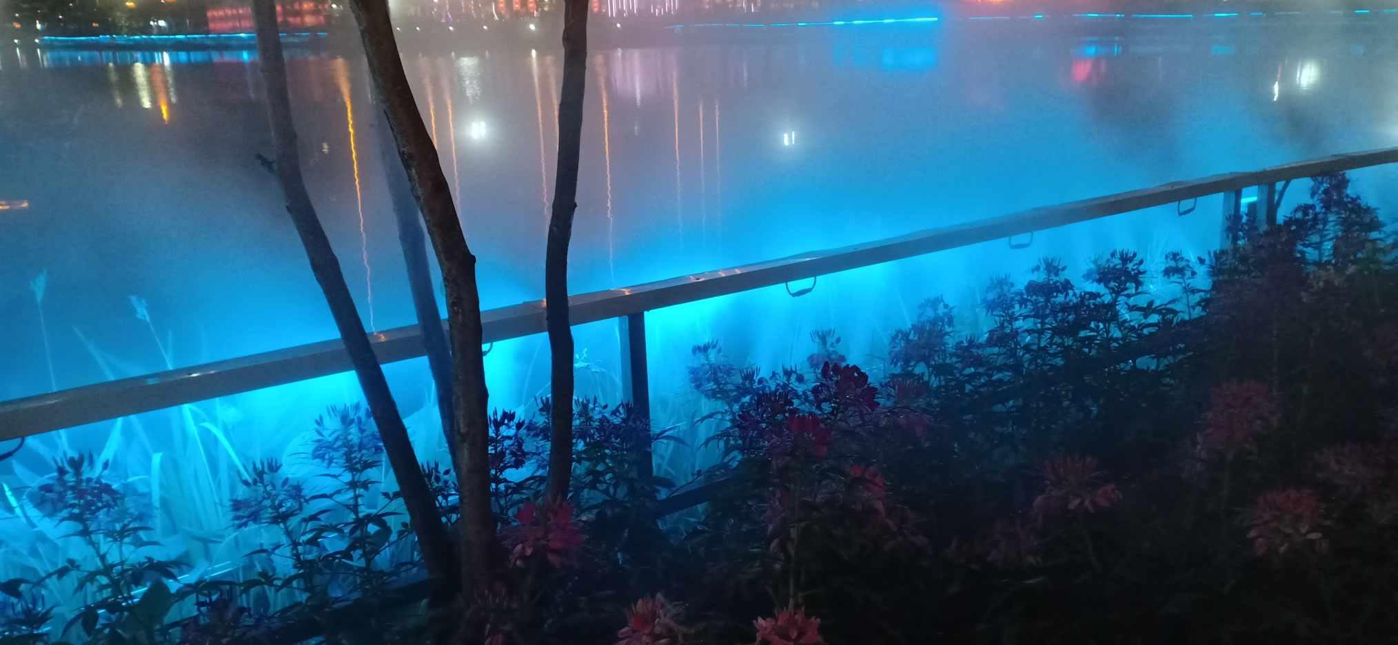 意媒:米兰和拉齐奥有意拉法-席尔瓦,球员与本菲卡合同今夏到期